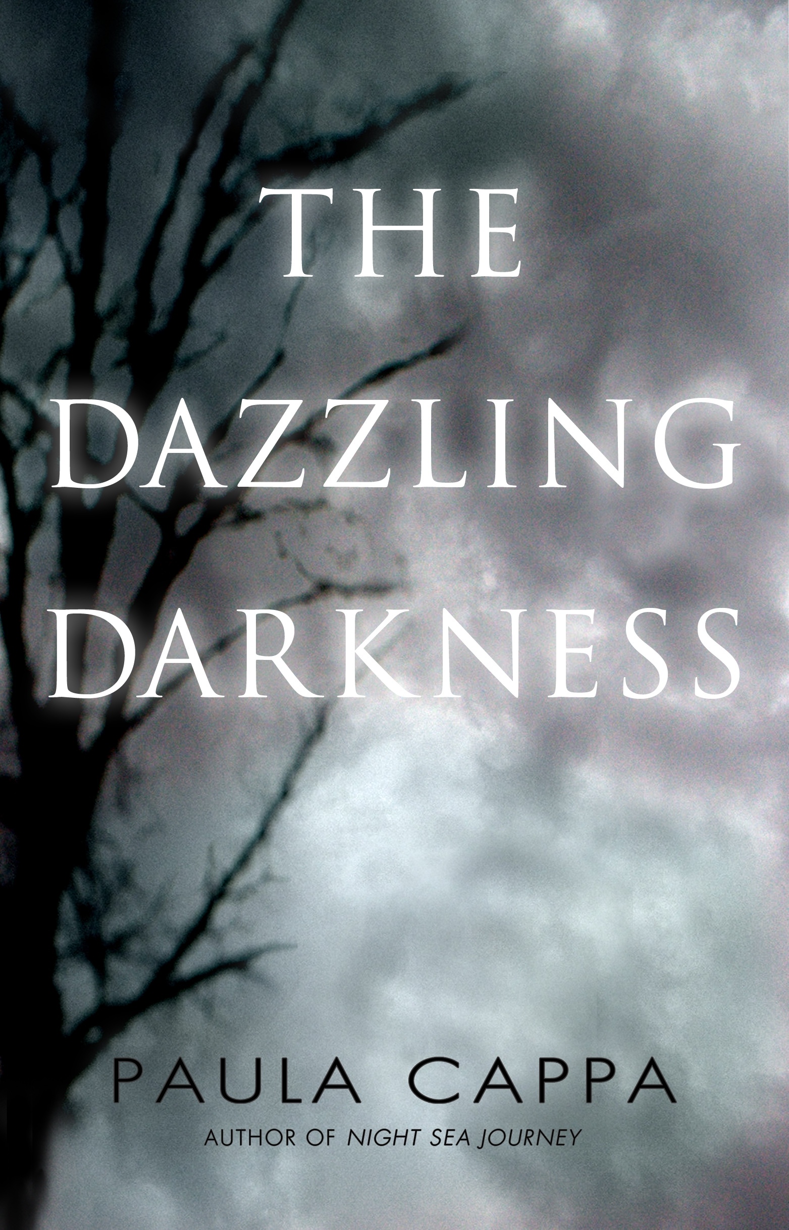Title details for The Dazzling Darkness by Paula Cappa - Available